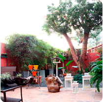 foto_07